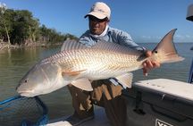 Golden Glare Fishing Charter with Experienced Captain 