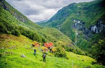 Self-Guided 22-Hour Round Trip From Oslo To Sognefjord With Flåm Railway