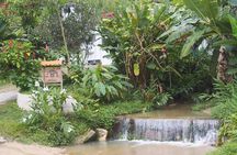 Minca, Waterfalls and Coffee Farm Tour from Santa Marta