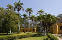 Old Town and Quinta San Pedro Santa Marta City Tour