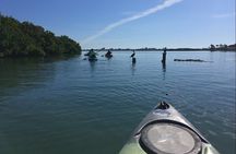 Sarasota Guided Mangrove Tunnel Kayak Tour