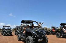 Agadir dune buggy adventures Go discover