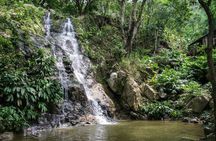 Minca, Waterfalls and Coffee Farm Tour from Santa Marta