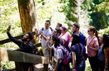 Hike the Gorgeous Trails in Washington