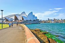 Sydney Highlights and Beaches Full Day Private Tour 
