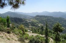 Chandigarh to Shimla Hill Station 4-Days Private Tour