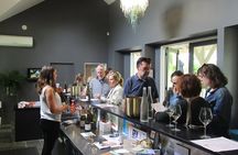 Martinborough in a Day - Guided wine tasting tour with lunch