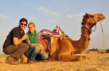 Dubai Desert 4x4 Dune Bashing, Sandboarding, Camel Riding, Dinner