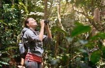 Rain Forest Aerial Tram. Private Tour from San Jose