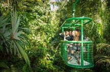 Rain Forest Aerial Tram. Private Tour from San Jose