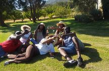  Visit Constantia Wineries Kirsternbosch Gardens from Cape Town 