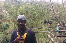 Canopy tour Adventures Cape Town 