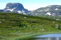 Oslo To Sognefjord Private Full Day Roundtrip Including Flam Railway
