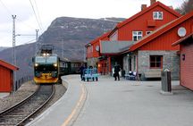 Private Full Day Trip From Oslo To Bergen with Sognefjord And Flam Railway