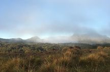 Private Tour in Horton Plains National Park & World's End Tour with Pick up