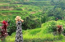 Ubud Tour - Ubud Highlight - Private Tour All inclusive