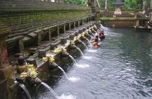 Ubud Tour - Ubud Highlight - Private Tour All inclusive