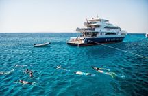 Incredible 7 Days Tour around Cairo, Luxor, and Hurghada