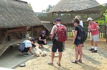 Luang Prabang City, Buffalo Dairy Farm and Kuangsi Falls - 1 Day Private Tour