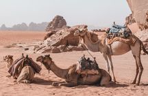 2 Days Tour | Petra, Wadi Rum & Dead Sea | Accommodation included