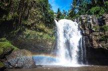 Best Waterfall & Kintamani Tour