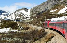 Private Full Day Trip From Oslo To Bergen with Sognefjord And Flam Railway