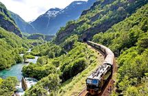 Private Full Day Trip From Oslo To Bergen with Sognefjord And Flam Railway