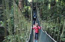 Best of Malaysia 10 Days 