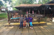 Best of Malaysia 10 Days 