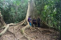 Best of Malaysia 10 Days 