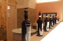 Tuscany Hiking Tour from Siena Including Wine Tasting