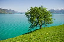 Bergen: Private Full-Day Roundtrip to Hardangerfjord with cruise