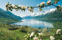 Bergen: Self-Guided Roundtrip (Sognefjord Cruise 5h & Flamsbana)