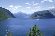 Self-Guided 22-Hour Round Trip From Oslo To Sognefjord With Flåm Railway