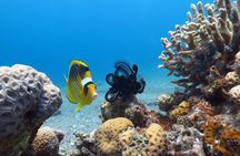 PADI Open Water Diver Course - 5 Days Scuba Diving 