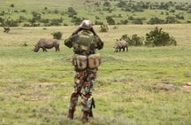 8-Day Amboseli, Lake Naivasha, Lake Nakuru and Masai Mara Safari