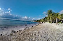 Private Cenote & Snorkeling Tour with Turtles in Akumal