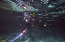 Night Snorkeling