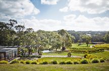 Mornington Peninsula Lunch, Wine & Pt Leo Estate Art Walk