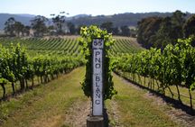 Yarra Valley Premium Tour inc Lunch and Cheese and Wine Pairing at De Bortoli