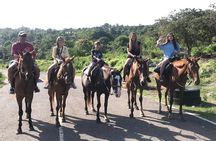 Blue hole waterfalls + horseback riding combo tour from Ocho Rios 