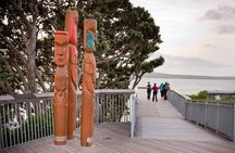 Auckland Maori Tour