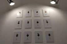 Private Day Trip From Plovdiv To Wine Cellars And Wine Tasting