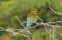 12 Nights Wild Life & Nature Tour