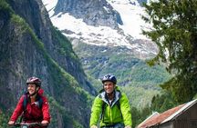 Private Full-Day Round Trip from Oslo to Sognefjord via Flåm Railway