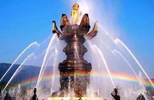 Wuxi Private Day Tour with Lingshan Buddhist Scenic Spot and Taihu Yuantouzhu