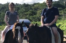 Blue hole waterfalls + horseback riding from Montego bay