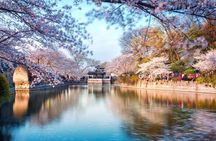  All Inclusive Wuxi City Flexible Private Day Tour 