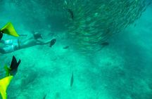 Private Los Cabos snorkeling tour to Chileno bay and Santa Maria cove