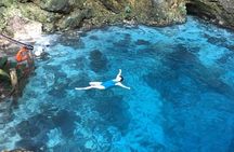 Blue Hole Mineral Spring plus Weed Farm Combo Tour with Transportation